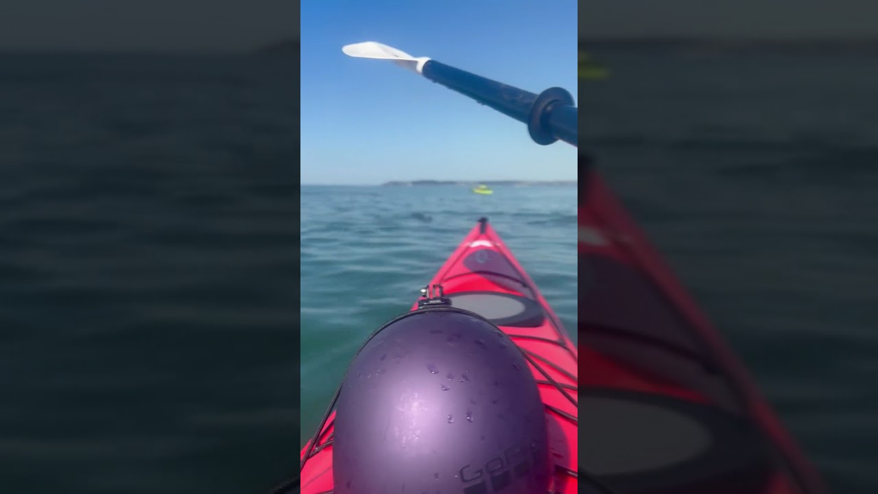 Featured image for “Kayakers’ Amazing Dolphin Encounter Off Aberavon Coast”