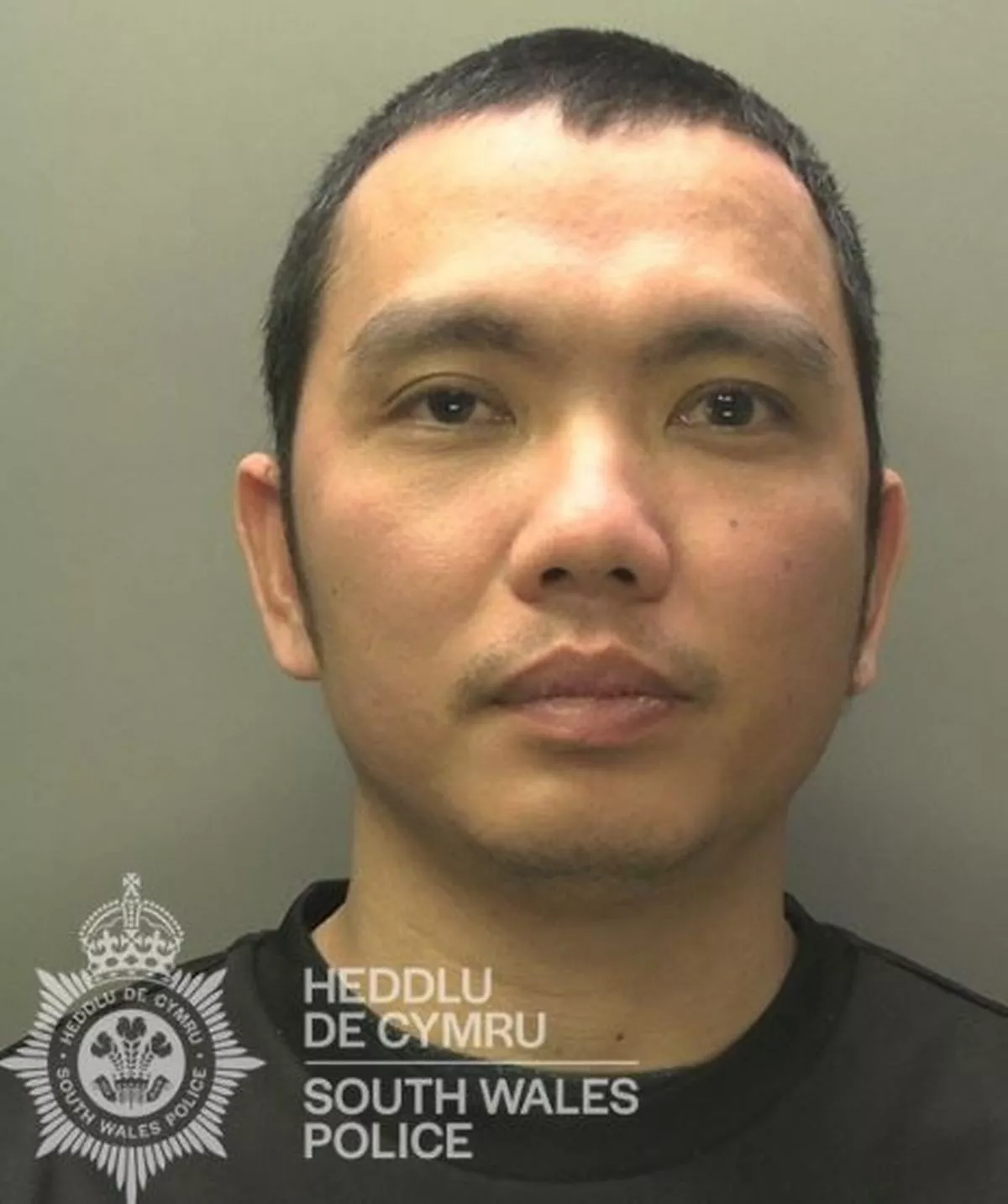 Featured image for “Drug Dealer Caught with £26k Cannabis Haul on M4”