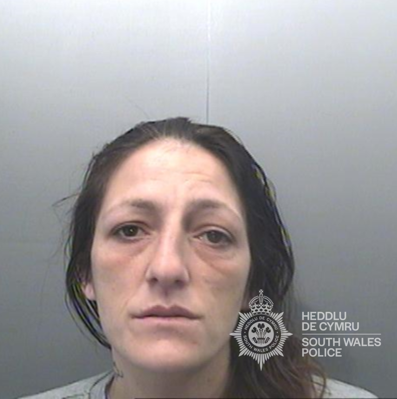 Featured image for “Swansea Woman Jailed for City Centre Attack on Stranger”