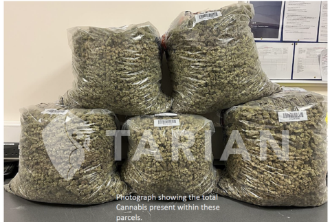 Featured image for “Cardiff Gang Jailed for £11m US Cannabis Smuggling Operation”
