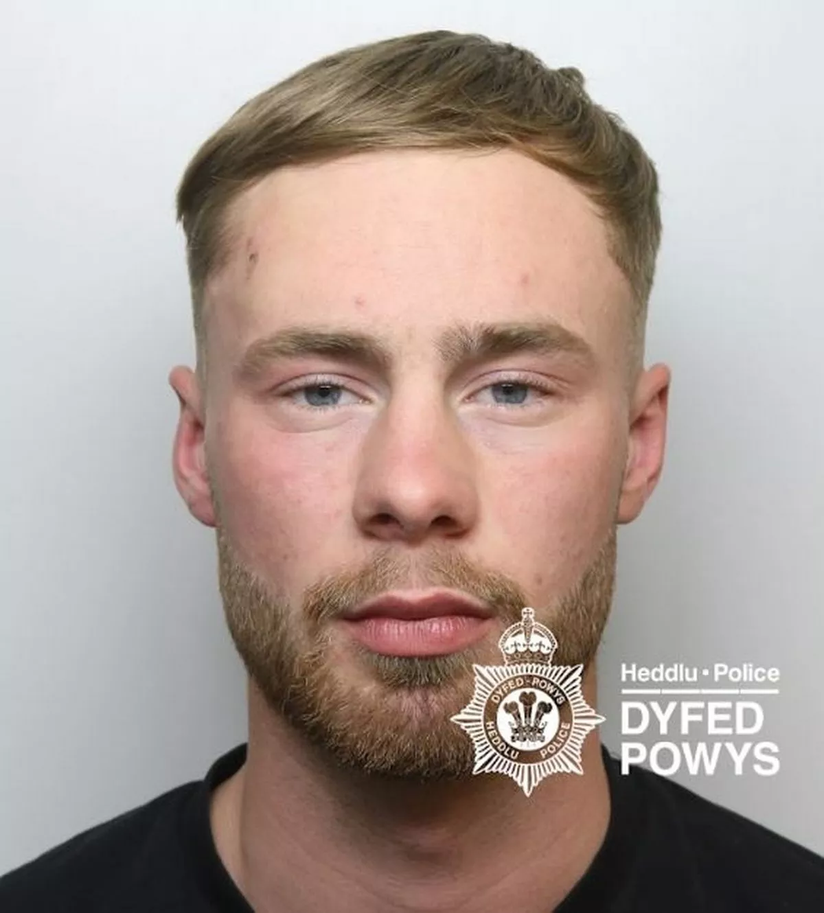 Featured image for “Roofer jailed for pub brawl head kick in Aberystwyth”