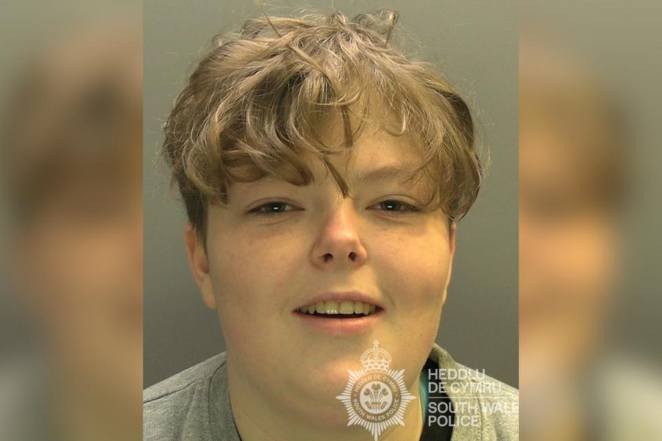 Featured image for “Teen jailed for ‘mini war’ violence spree in Barry”