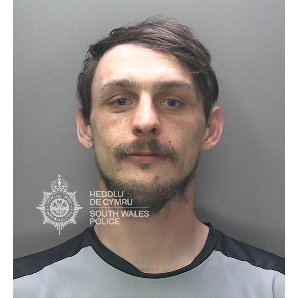 Featured image for “Swansea Man Jailed for Domestic Abuse Campaign”