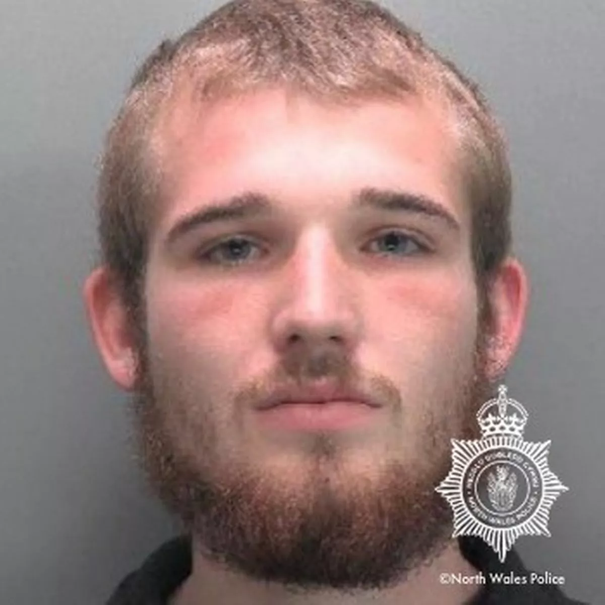 Featured image for “Rhyl drug dealer jailed over cannabis supply operation”
