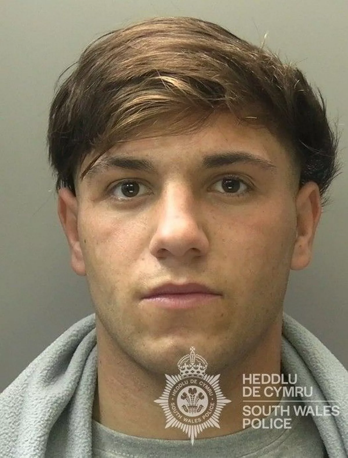 Featured image for “Teen jailed for axe attack on Cardiff traveller family”
