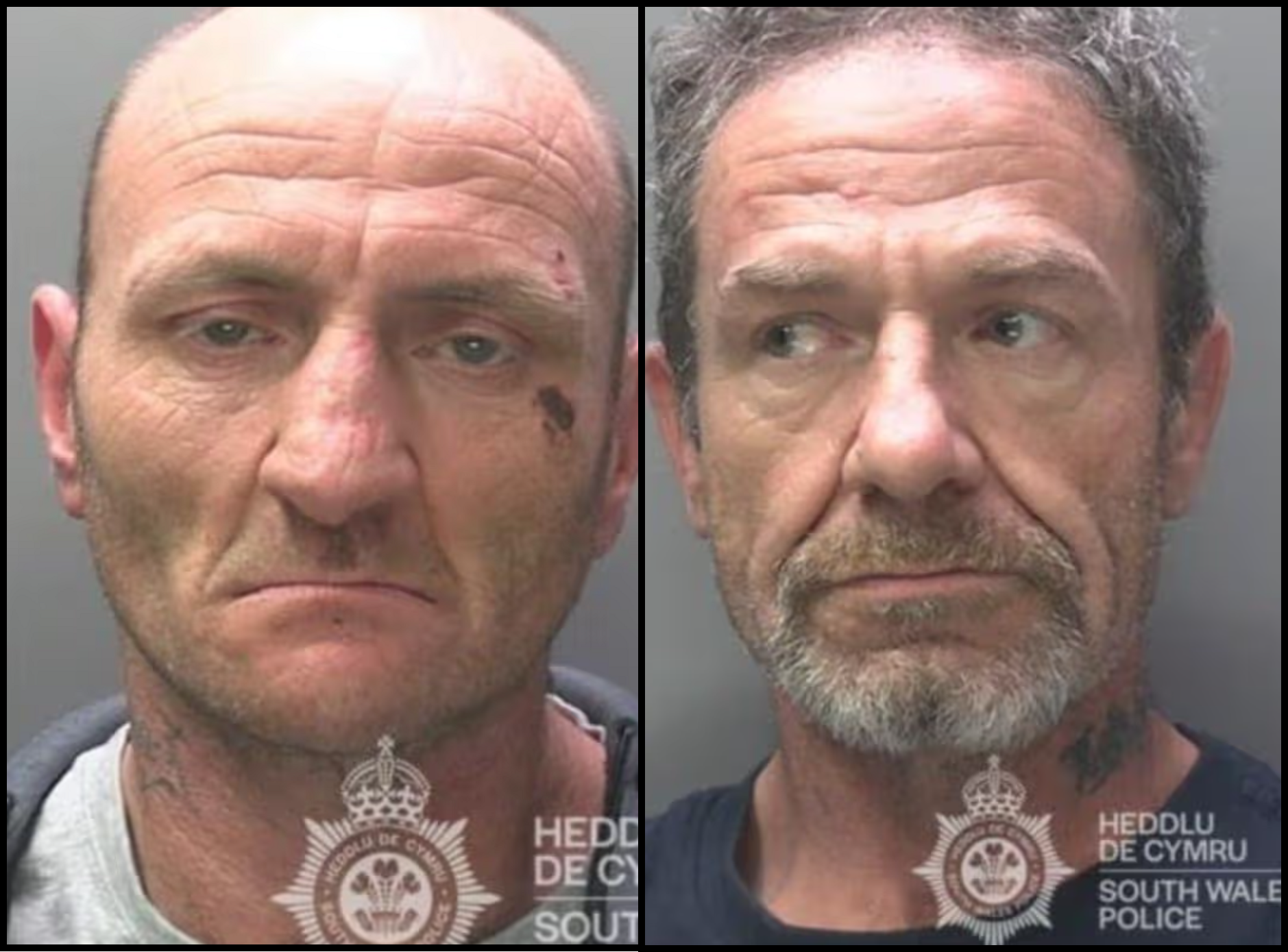 Featured image for “”