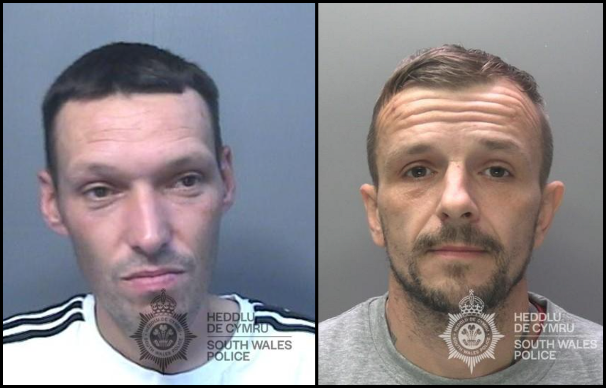 Featured image for “Burglary duo jailed for Pembrokeshire and Neath crime spree”