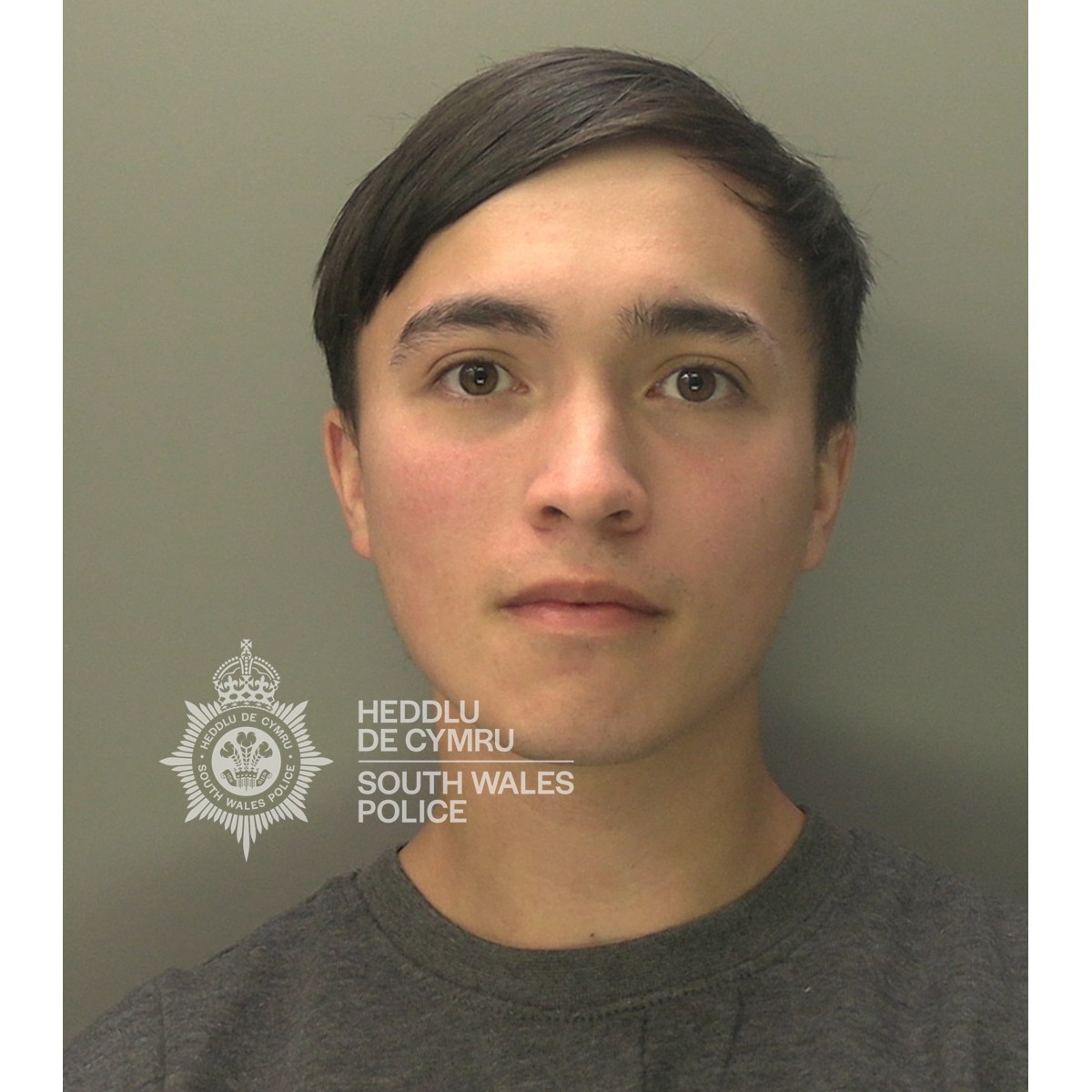 Featured image for “Predator posed as teen in care to abuse children jailed”