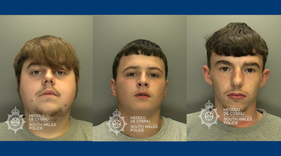 Featured image for “Cardiff teens jailed for 22-day car and bike theft spree”
