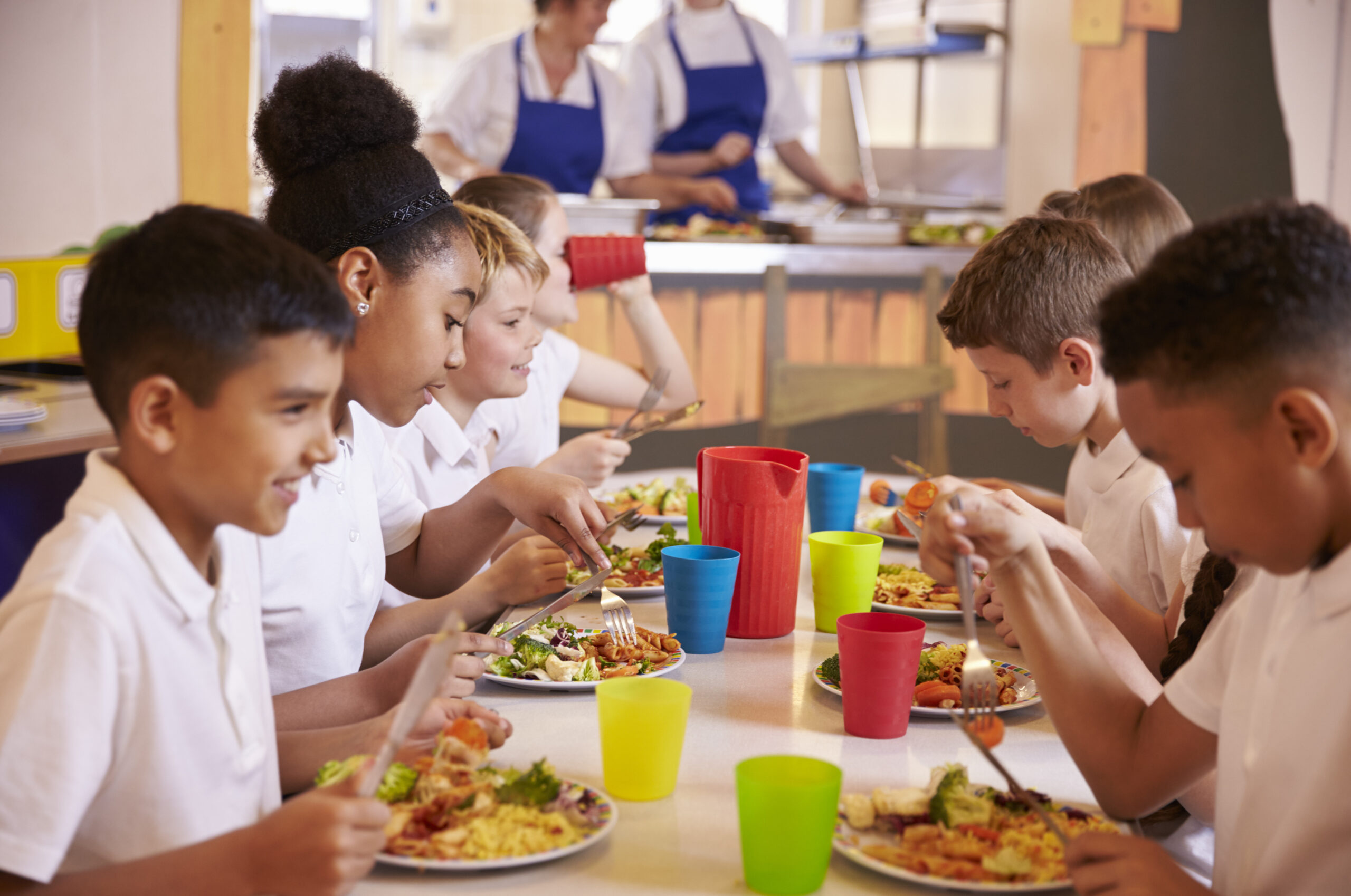 Featured image for “Free school meals cutting costs and stigma in Wales”