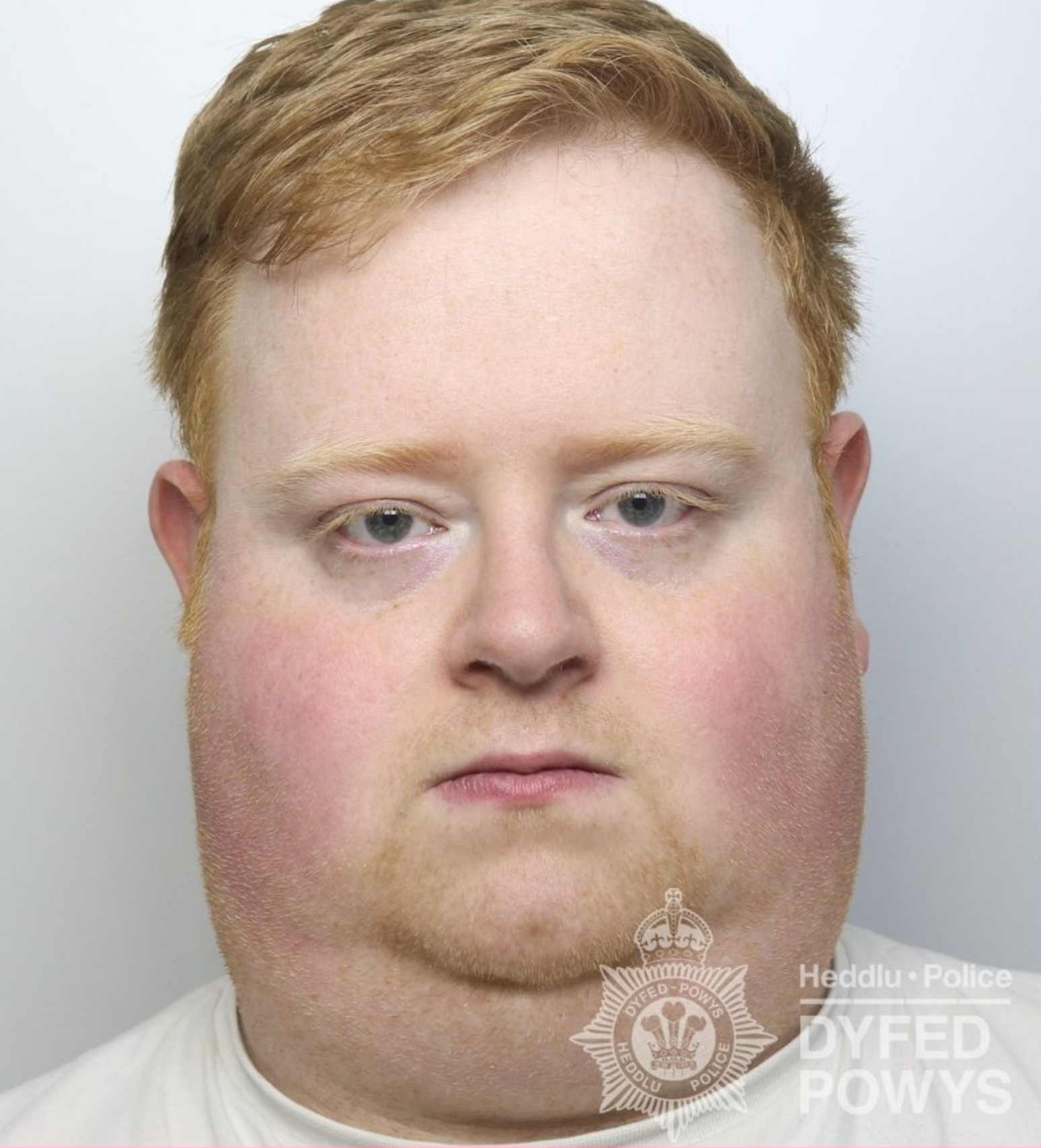 Featured image for “Driver jailed for killing Llanpumsaint dad in hit-and-run”