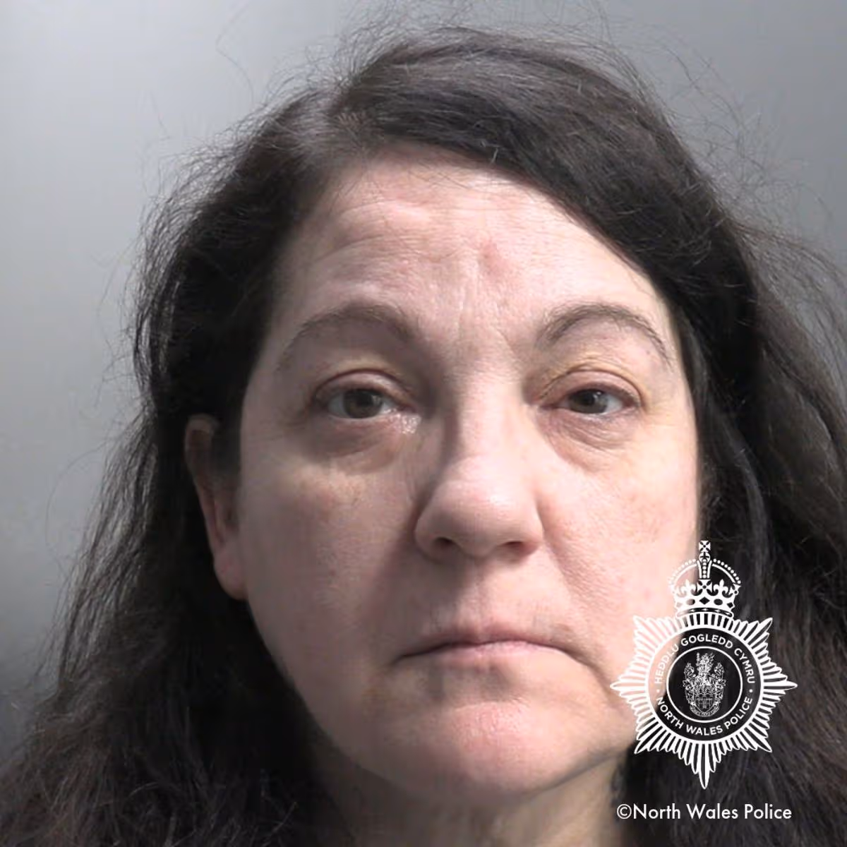 Featured image for “Wrexham woman jailed after XL bullies mauled neighbour”