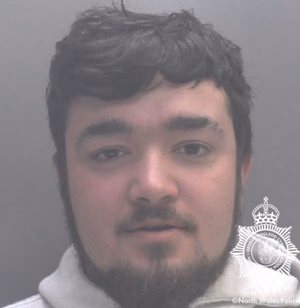 Featured image for “Teenager used axe to break into Amlwch couple’s home”