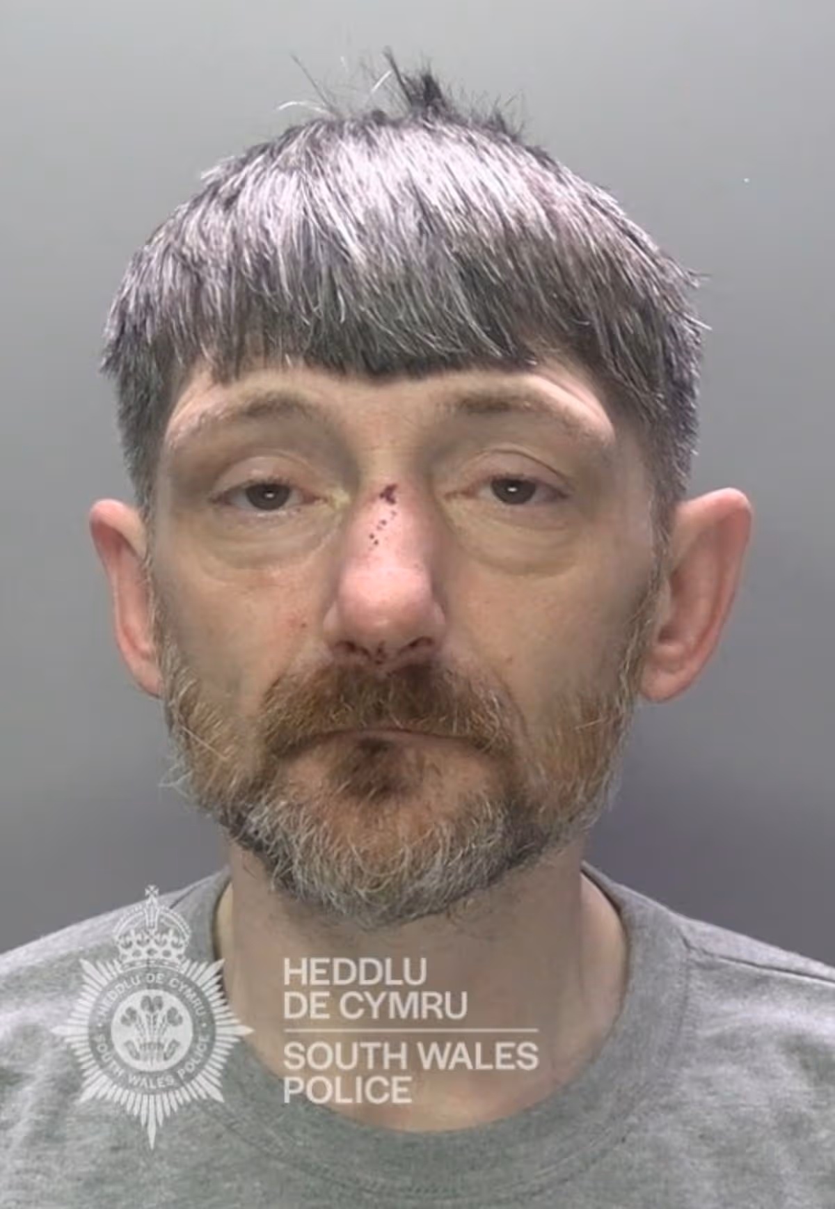 Featured image for “Burglar caught drinking stolen milk after Swansea raid”