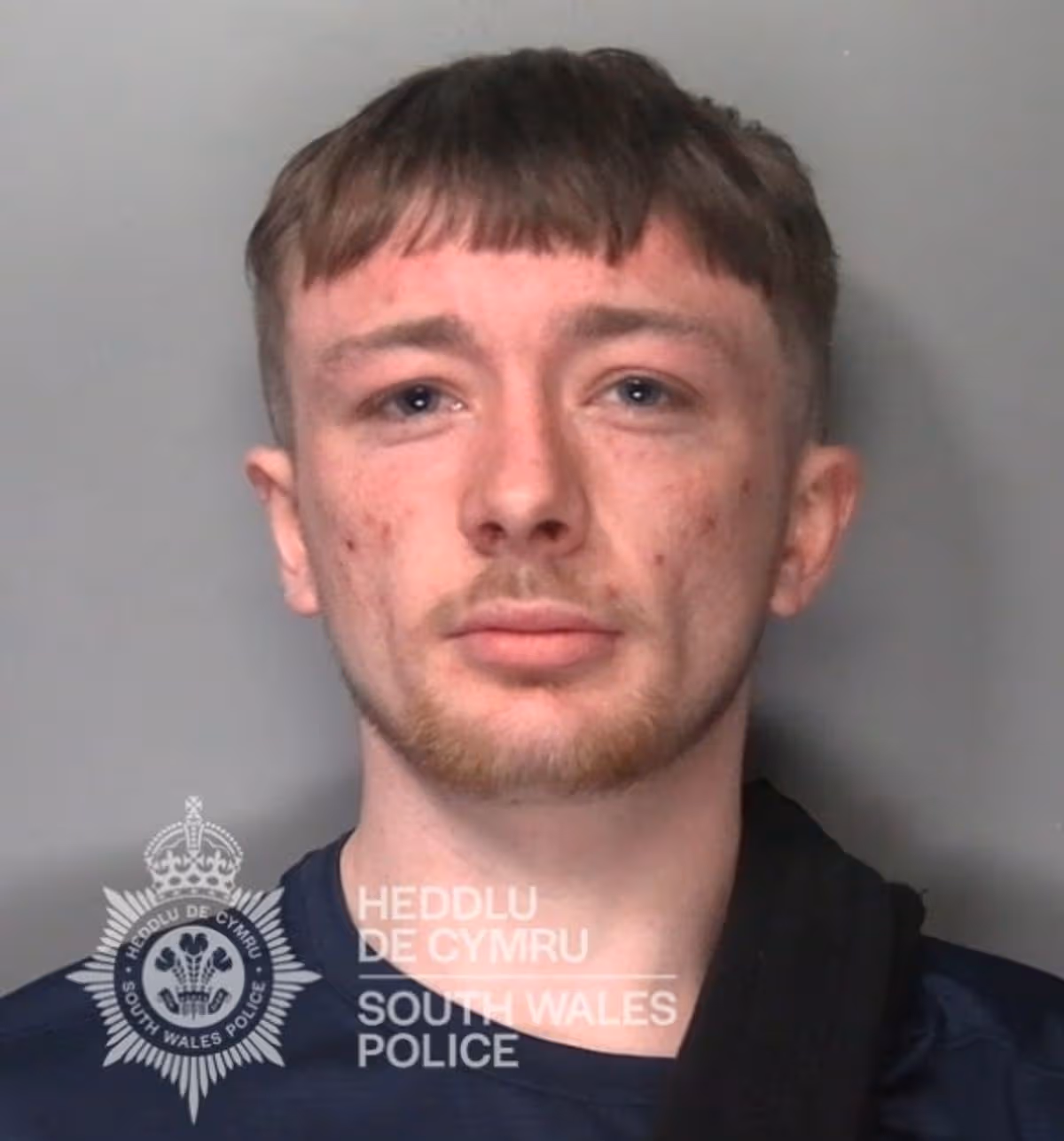 Featured image for “Swansea cocaine dealer jailed after cash found hidden around home”