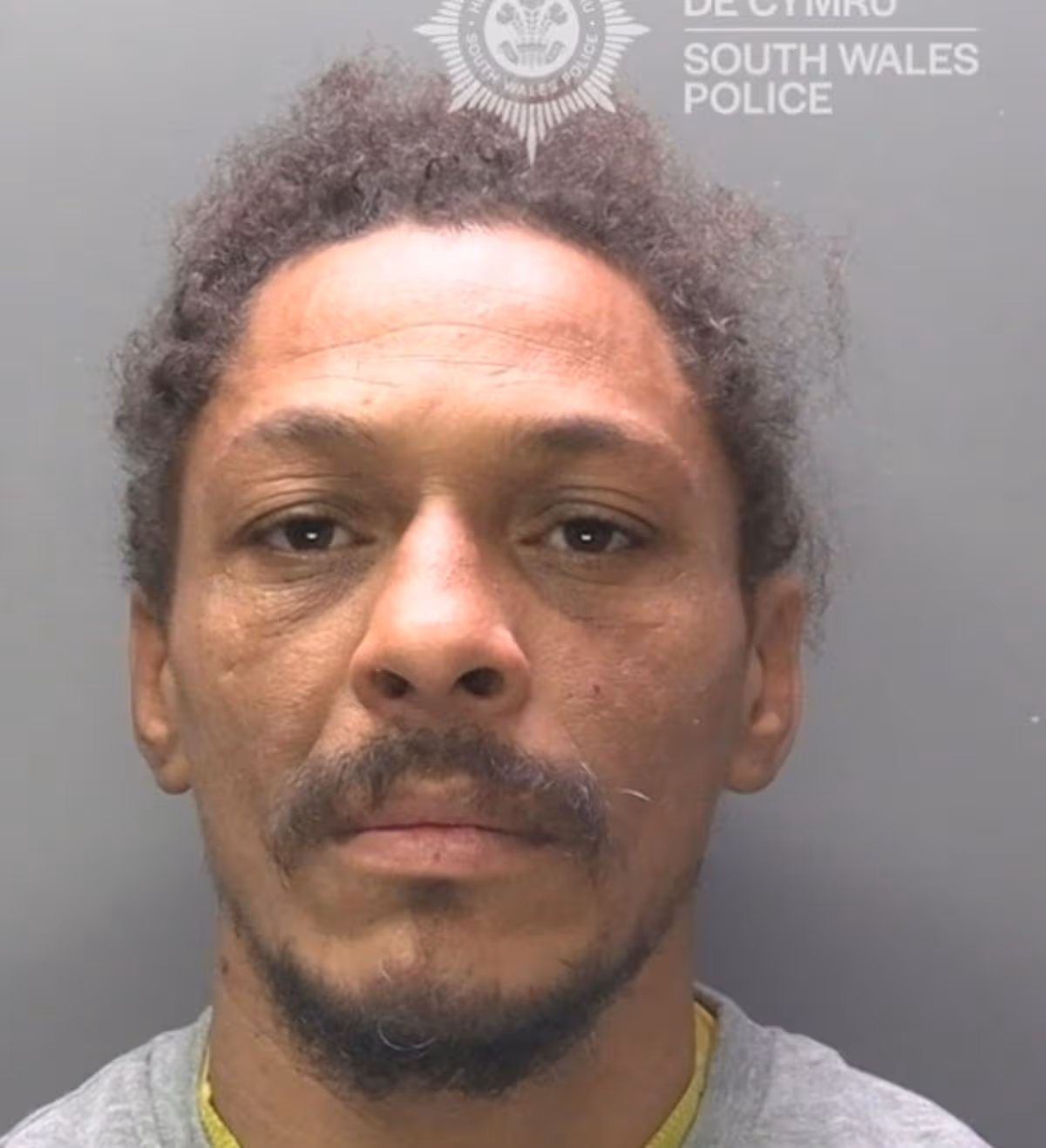Featured image for “Man on licence for violent assault jailed over cannabis factory”