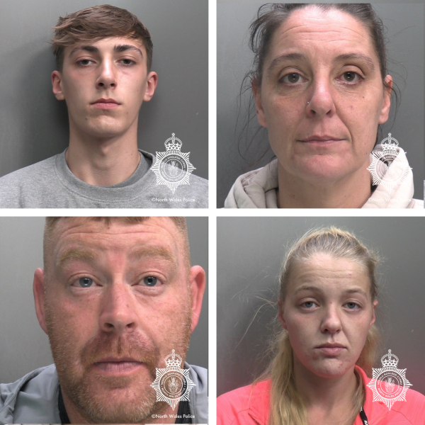 Top: (Left) Kaylem Longhurst (right) Terry Follows //

Bottom: (Left) Shane Hunt (right) Cara Haran