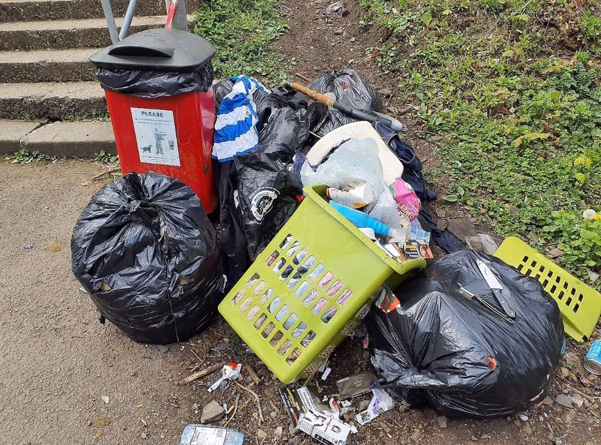 Featured image for “Man fined after knives and waste dumped in beauty spot”
