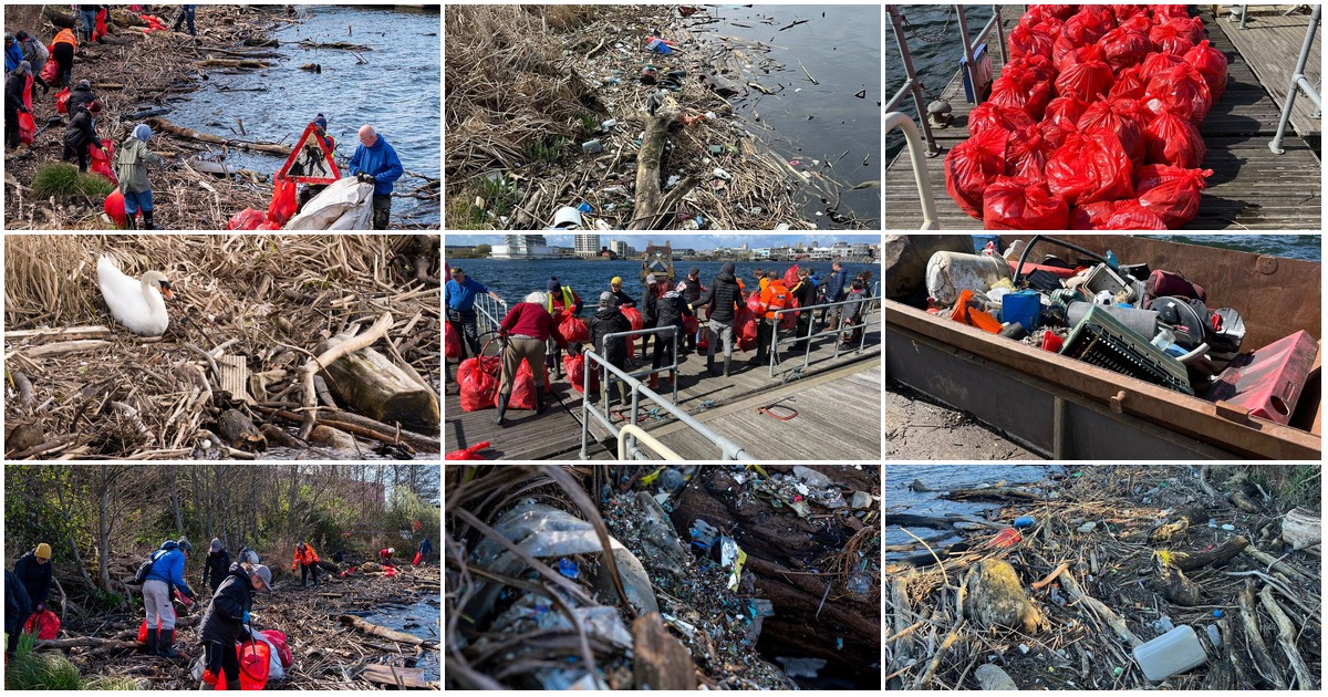 Featured image for “Car seats and rubber ducks pulled from Cardiff Bay”