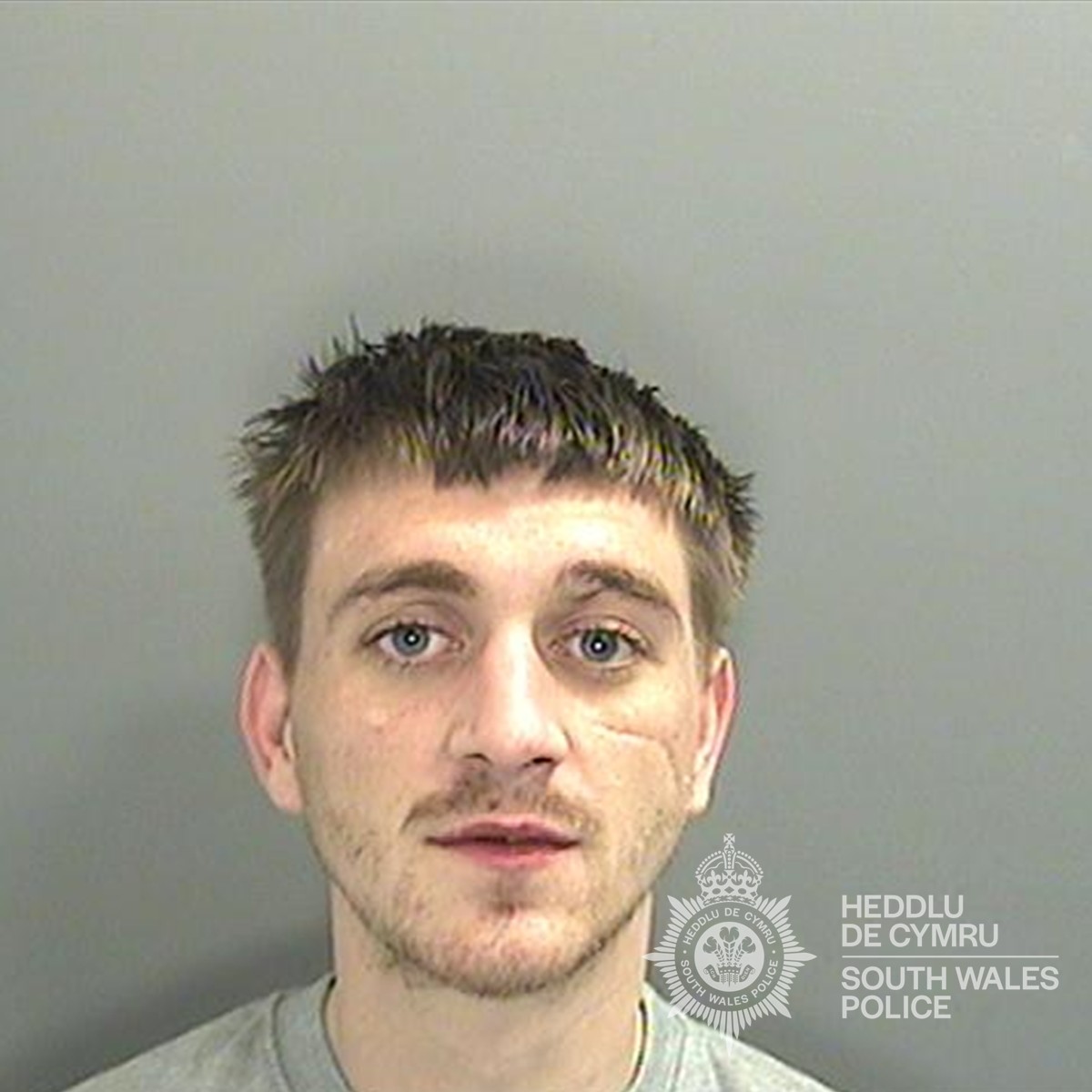 Featured image for “Burglar jailed for 54 months after Splott break-in”