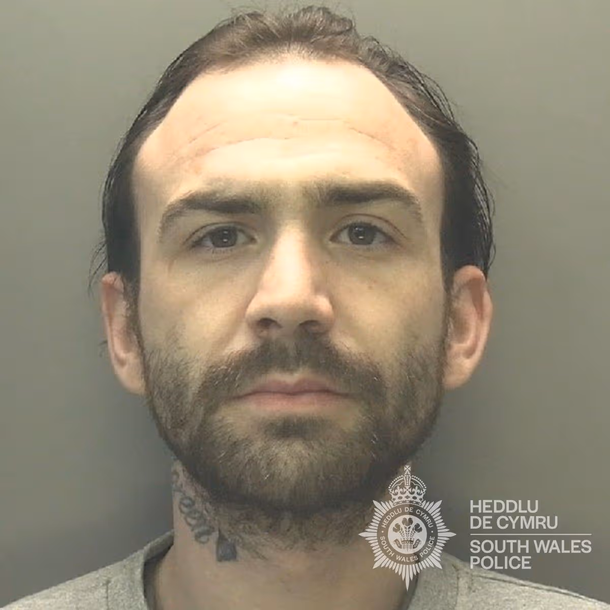Featured image for “Burglar’s DNA found on chicken bone at Cardiff break-in”