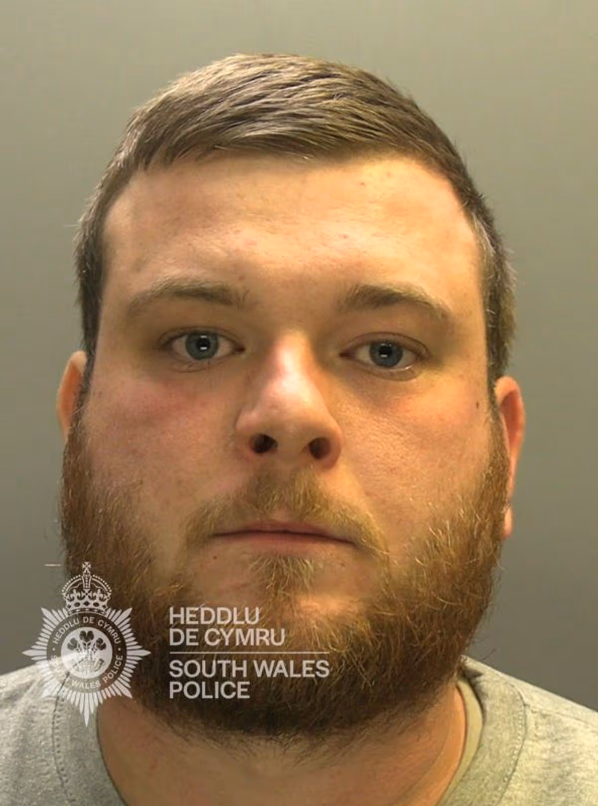 Featured image for “Man jailed for reversing into woman on Cardiff driveway”