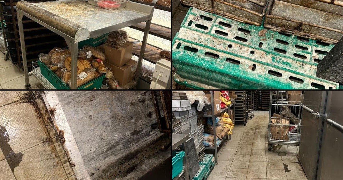 Featured image for “Morrisons fined £737k over filthy Cwmbran bakery”