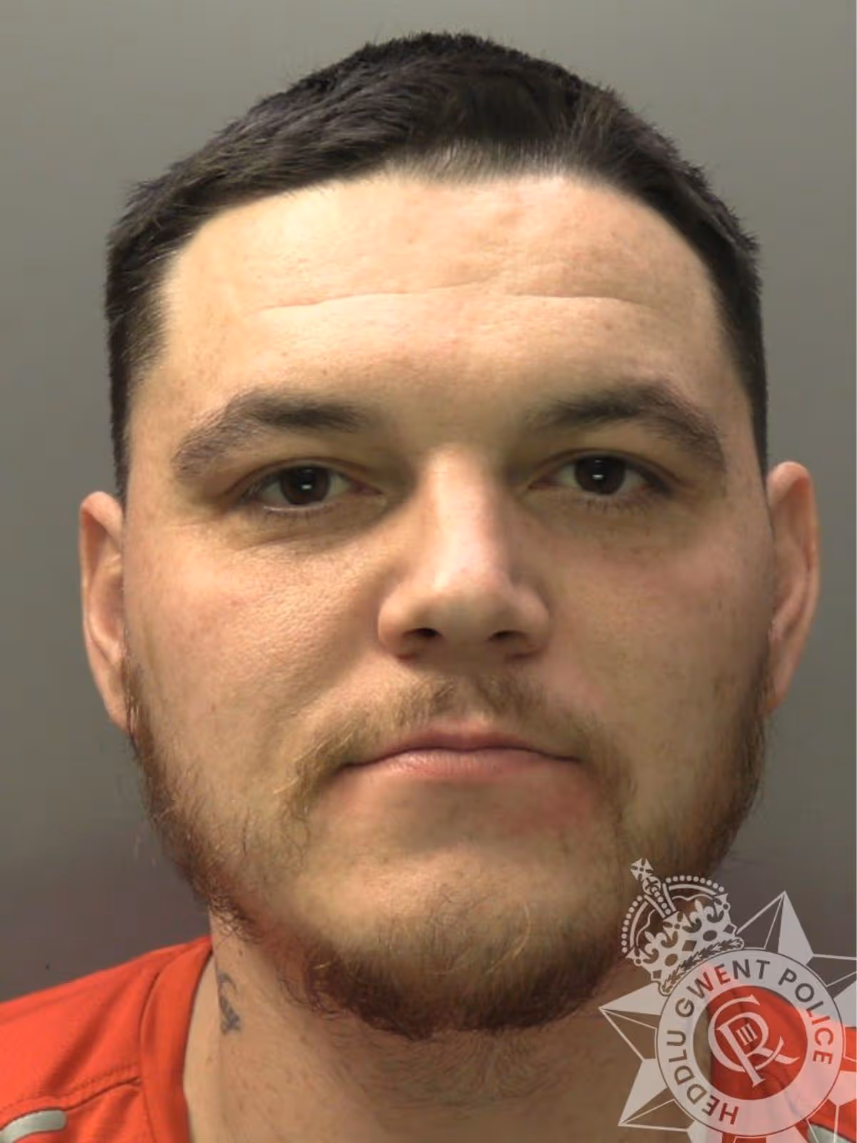 Featured image for “Newport burglar jailed after attacking homeowner during break-in”