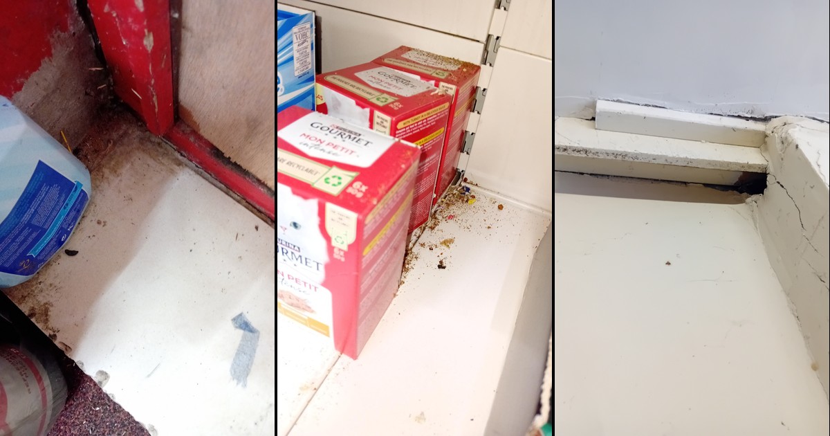 Featured image for “Ely shop owner fined after rats found among food”
