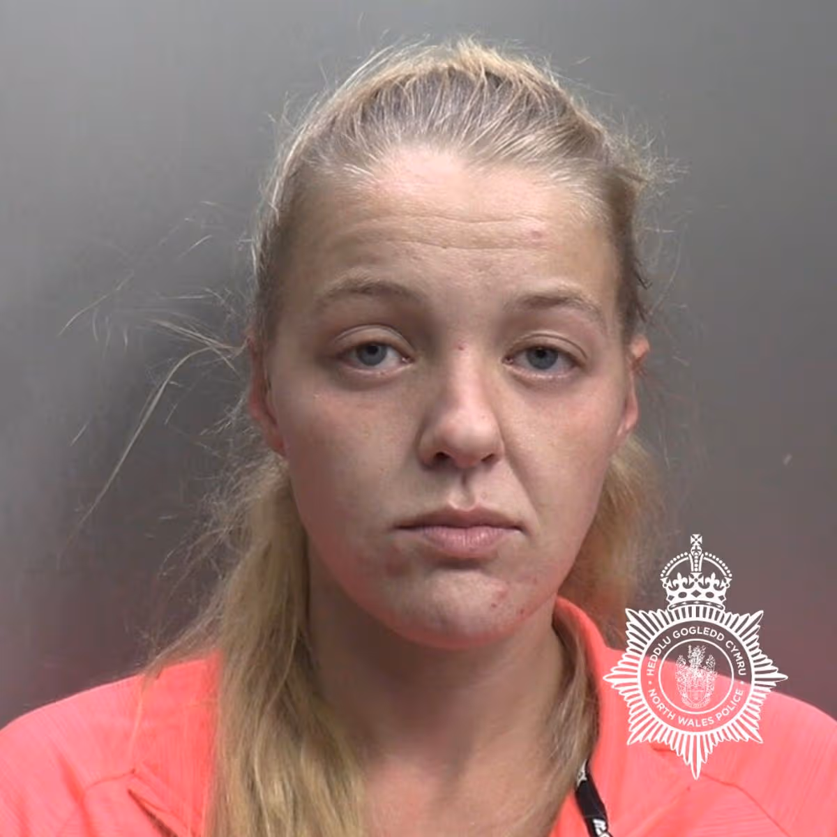 Featured image for “Woman who hid hit-and-run evidence loses appeal bid”