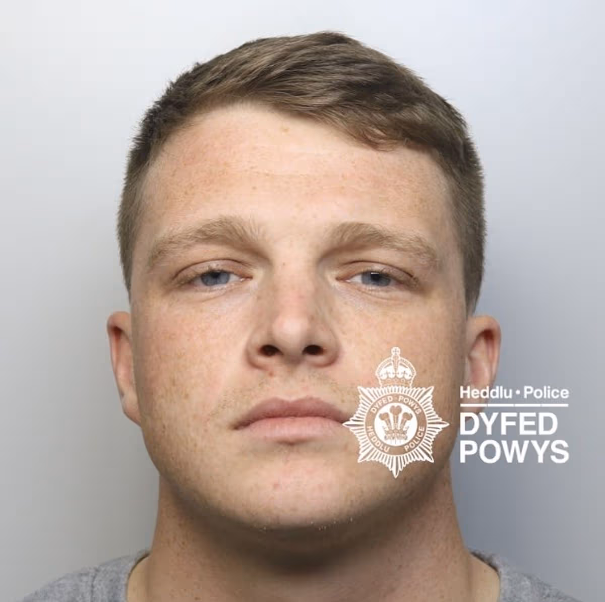 Featured image for “Llanelli cocaine dealer jailed after claiming gang coercion”