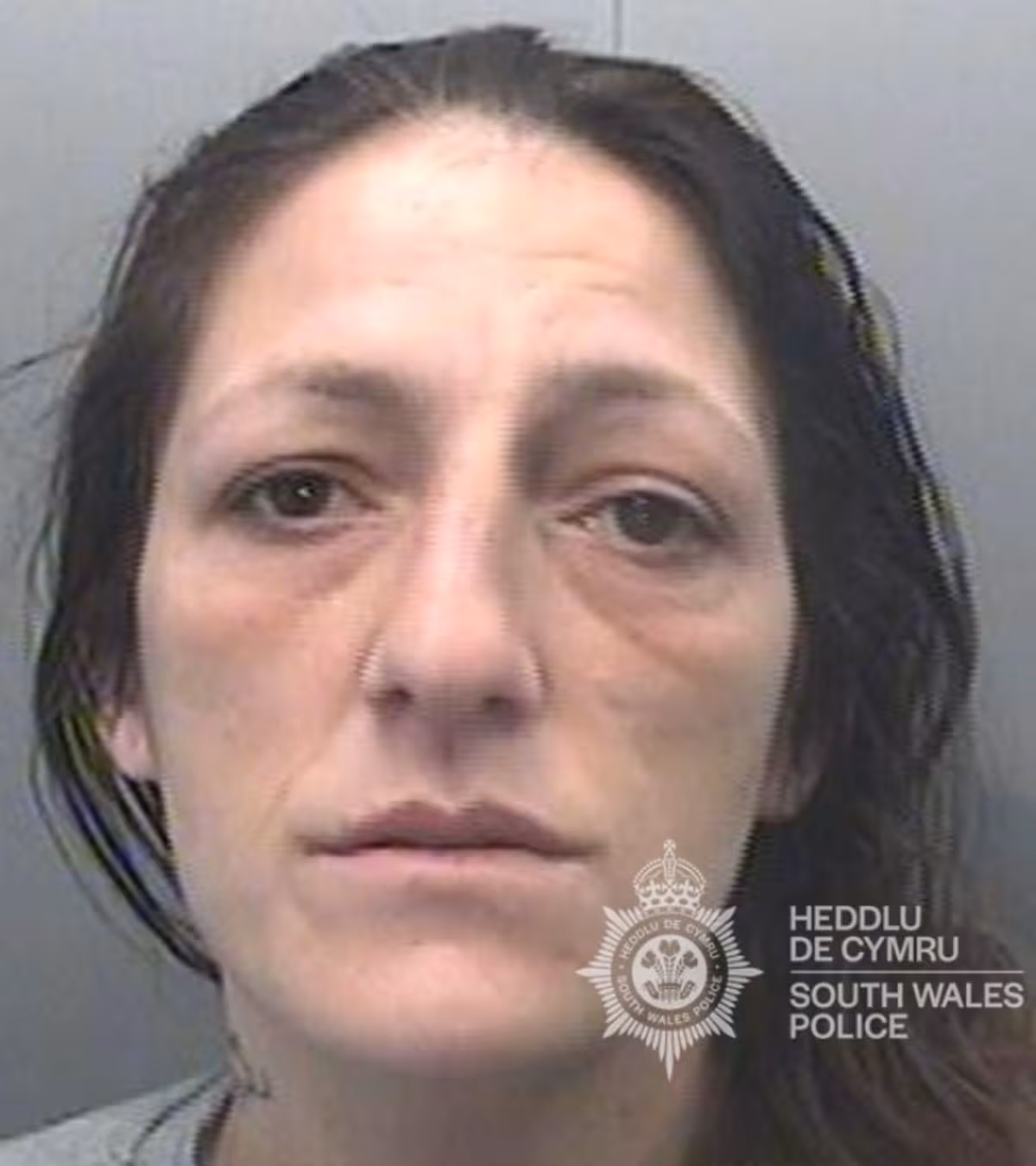 Featured image for “Swansea woman who chased people with knife jailed”