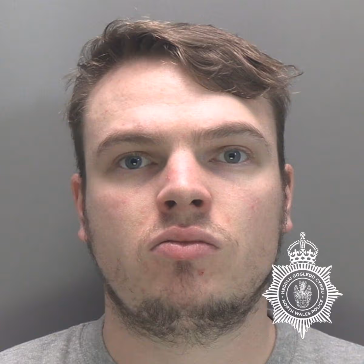 Featured image for “Man jailed after sexual attack on dog walker in Colwyn Bay”