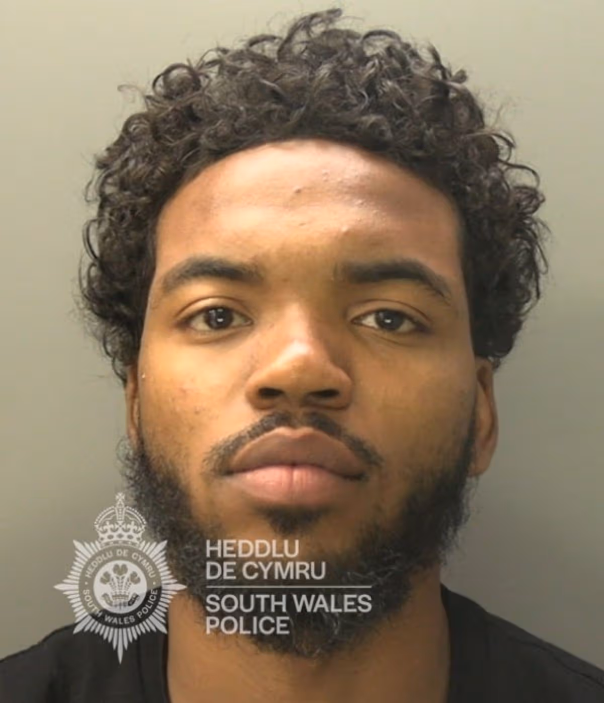 Featured image for “London man jailed over Gowerton cannabis farm removal”