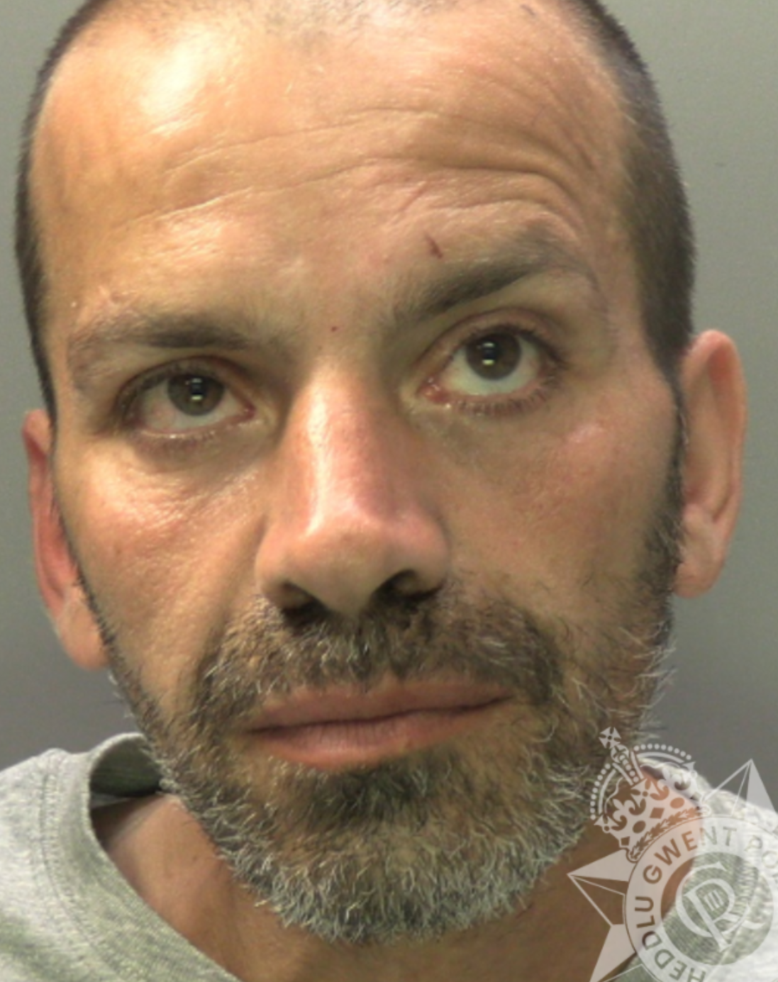 Featured image for “Newport shoplifter jailed after breaching suspended sentence”