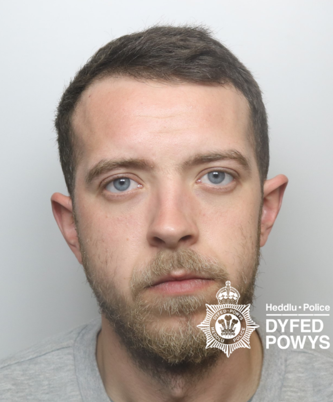 Featured image for “Pembrokeshire cocaine dealer jailed for 28 months”