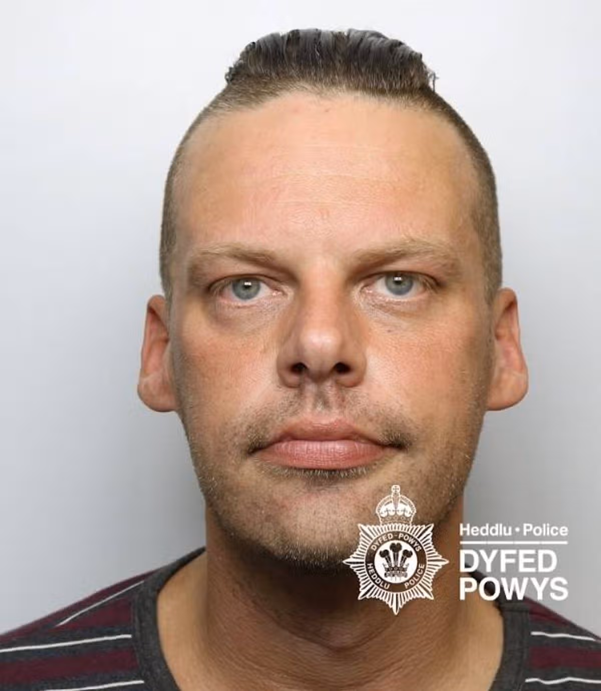 Featured image for “Machynlleth man jailed for ‘vendetta’ against neighbour”