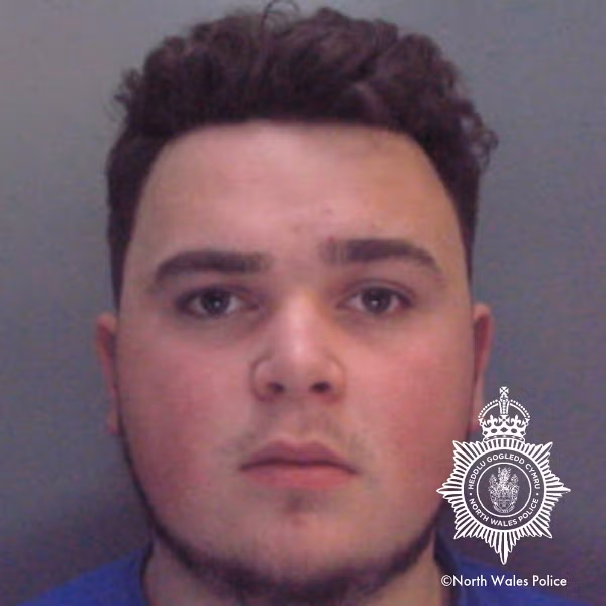 Featured image for “Burglar jailed over Porthmadog BT copper cable theft”